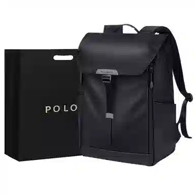POLO 17.3