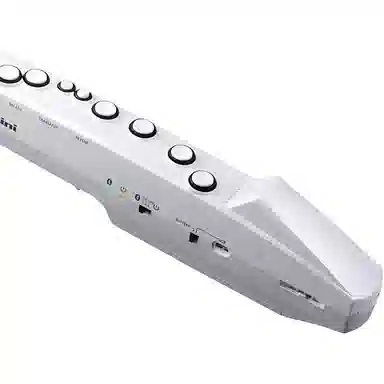 Roland AE01C " Aerophone