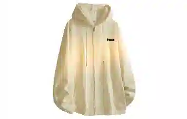 PAEFA Logo