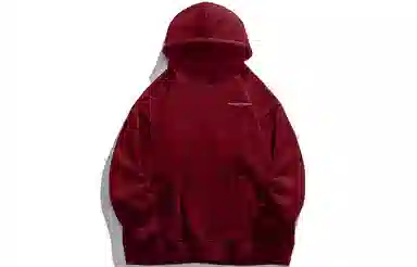 Wuzhigongshi Hoodie