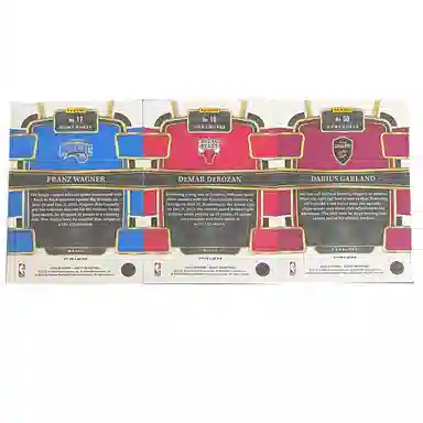 PANINI 2023-24 SELECT