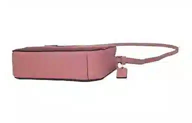 COACH Camera Bag