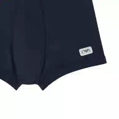 EMPORIO ARMANI Logo 1