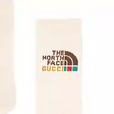 GUCCI x x the north face Logo 1