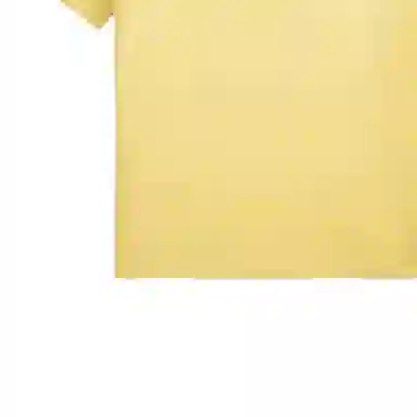 Polo Ralph Lauren LogoT