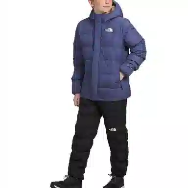 The North Face North Down Parka Purple