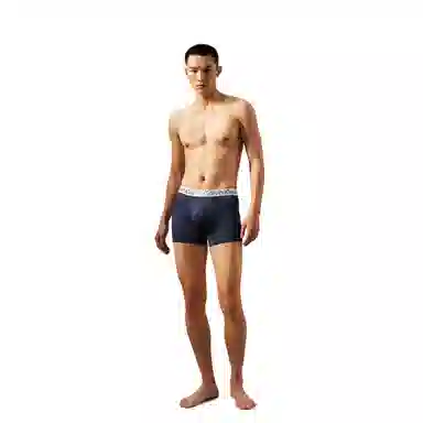 Calvin Klein Boxer Briefs 3-Pack