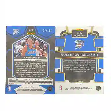 PANINI 2023-24 130199