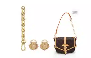 LV Saumur BB