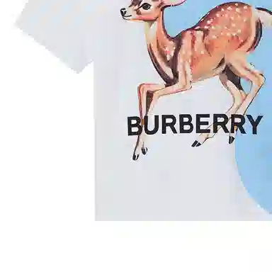 Burberry logoT