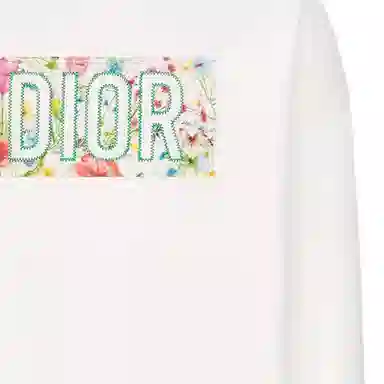DIOR FW22 Logo