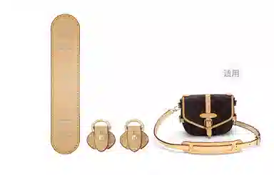 LV Saumur BB