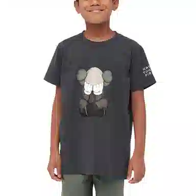 UNIQLO UNIQLO KAWS T