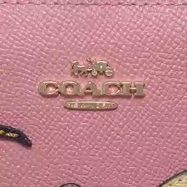 COACH Camera Bag