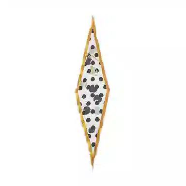 KALIIYA STUDIO celebrate