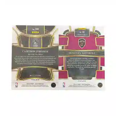 PANINI 2023-24 SELECT