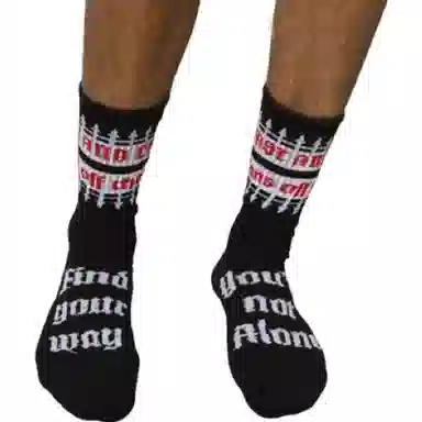 Vans SS23 Logo Socks