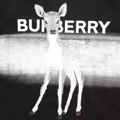 Burberry T