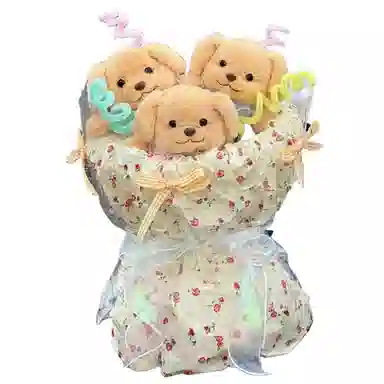 雄俊 超萌超可爱贵宾小狗花束 创意 玩偶周边