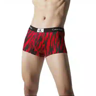 CKCalvin Klein CK96 Logo 1