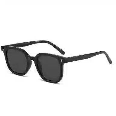 Craftsman Expert TR90 Sunglasses