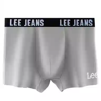 Lee 4