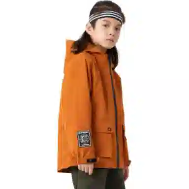 NORTHLAND PROFESSIONAL