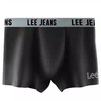 Lee 4