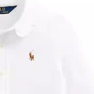 Polo Ralph Lauren FW23 Logo