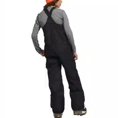 THE NORTH FACE Freedom Insulated Bibs