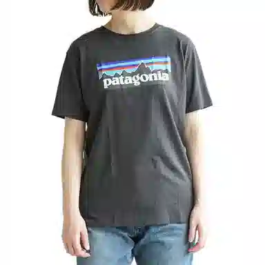 patagonia T