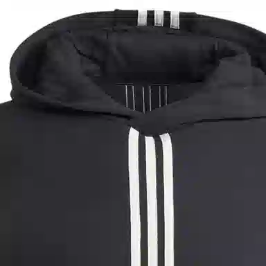 adidas originals Winter Hacked Hoodie