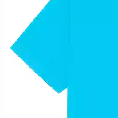 Balenciaga SS23 LogoT