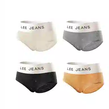 Lee 4