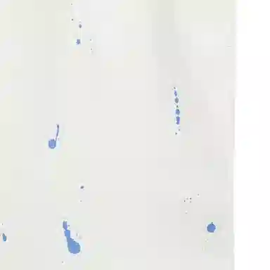 Polo Ralph Lauren SS24 T