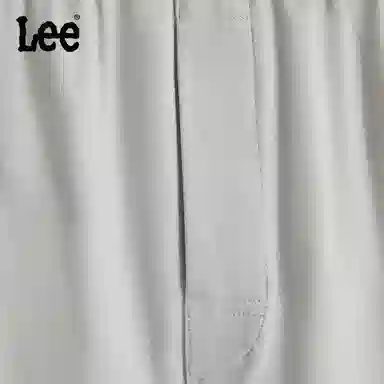 Lee 3