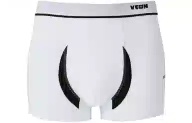 VEIDOORN LOGO