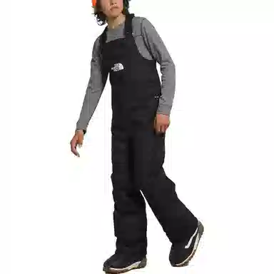 THE NORTH FACE Freedom Insulated Bibs