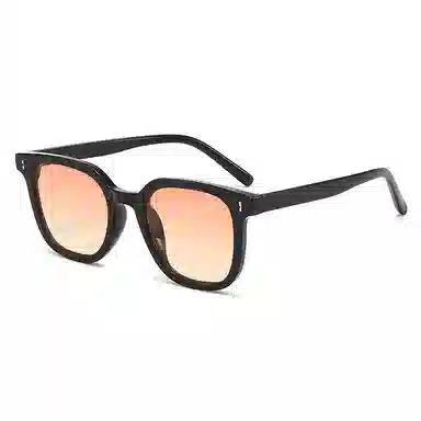 Craftsman Expert TR90 Sunglasses