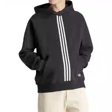 adidas originals Winter Hacked Hoodie