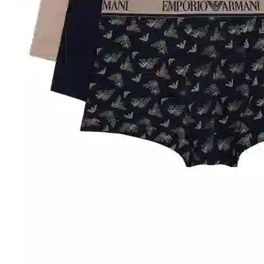 EMPORIO ARMANI FW23 Logo 3