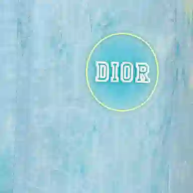 DIOR FW24 Logo