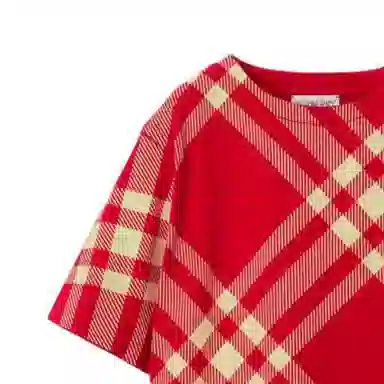 Burberry T