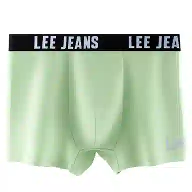 Lee 4