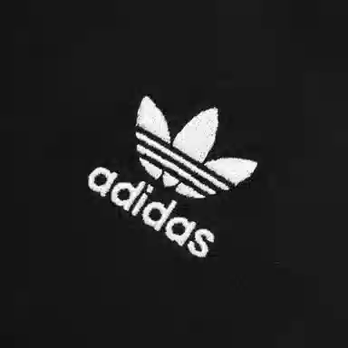 adidas originals ARCHIVE TEE SS T