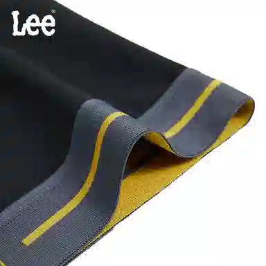 Lee logo 3