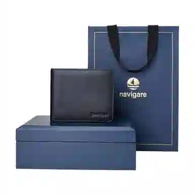 NAVIGARE