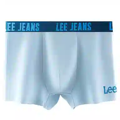 Lee 4