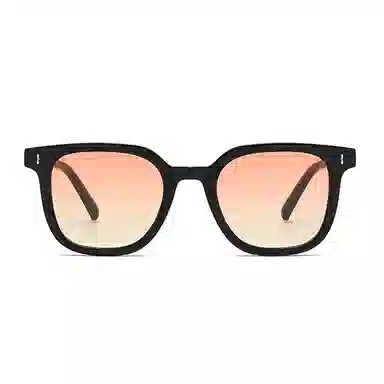 Craftsman Expert TR90 Sunglasses