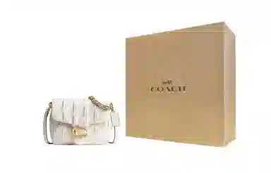 COACH Tabby 20 Chalk White